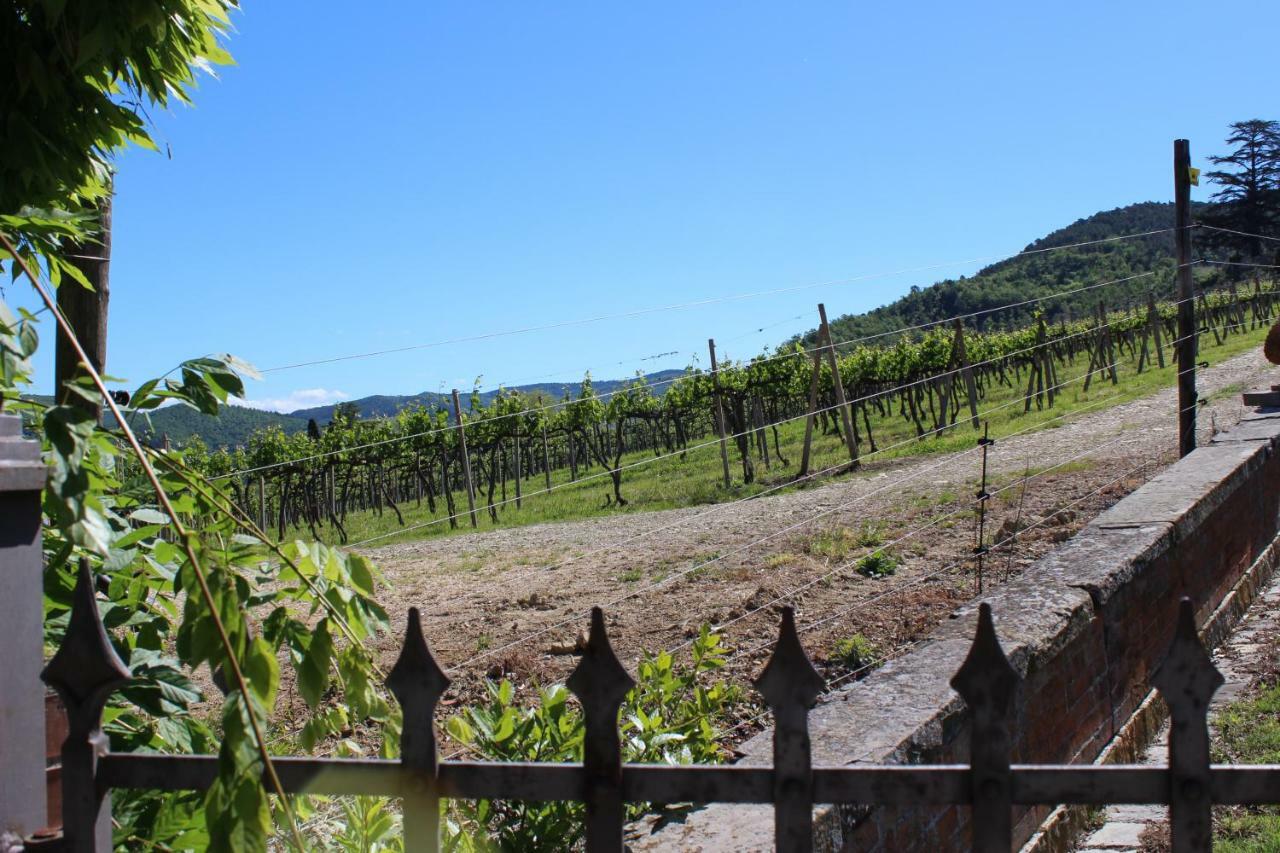 La Villa Della Fattoria Le Sorgenti Italia 5 Girasoli Bagno A Ripoli Luaran gambar